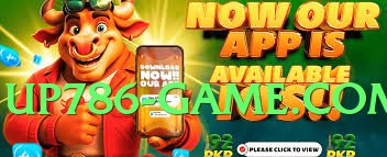 Pro winpkr v3.5.0 Screenshot 3